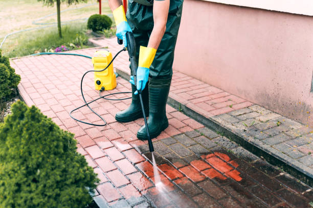 Best Driveway Border and Edging in Eureka, CA